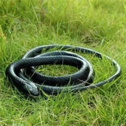 Rubber Snake-image-19