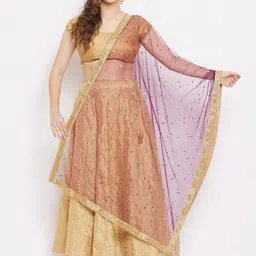 Clora Creation Burgundy & Brown Embroidered Dupatta with Sequinned-13