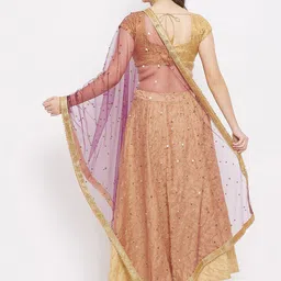 Clora Creation Burgundy & Brown Embroidered Dupatta with Sequinned image 4