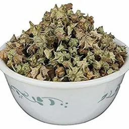 Gokhru Chota | Gokhroo Chota - Tribulus Terrestris Seeds - Small Caltrops Seed-7