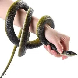 snake00229 Insects, Reptiles & Amphibians Gag Toy (Green) snake Gag Toy Snake Gag Toy-14
