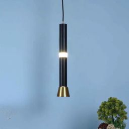 Astris Black and Gold Iron Hanging Light | Inbuilt LED | | Eliante by Jainsons Lights-picture-32