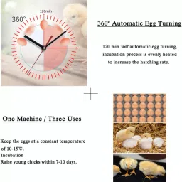 tm&w cheap price 64 chicken eggs hatching machine incubator fully automatic. Egg Incubator image 5