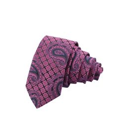 Alvaro Castagnino Men Purple & Black Woven Design Skinny Tie-image-90