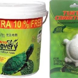 FOOD 1KG AND FREE TURTLE CONDITIONAR Vegetable 1 kg Wet Adult Turtle Food-image-33