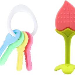 Baby Fruit Shaped Silicone Teether Feeder & Baby Key Shaped BPA Free Teether-24