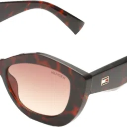 Gradient, UV Protection Cat-eye Sunglasses (51)-picture-3