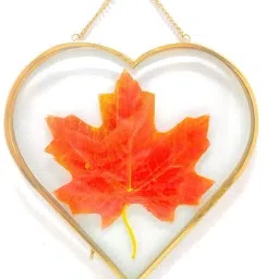 Heart frames Glass & Metal Hanging Frame/Photo-frame.(8x8) 8 inch Heart frames Glass-image-47