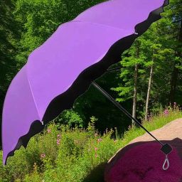 Travel Compact Magic Umbrella 3 Fold Umbrella for Girls, Women_9029 Umbrella-image-90