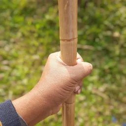 5.5 Feet Bamboo Cane Walking Stick-image-24