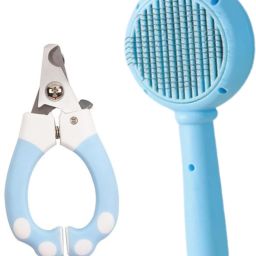 Horse Grooming Kit-31