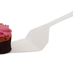 Steel Cake Server-18