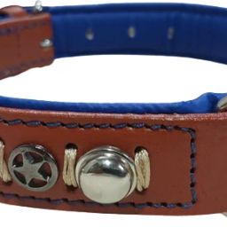 Dog leather collar 1 inch ten color blue padding Dog Everyday Collar-image-26