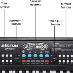dea merchandise group BF-430A1 Big Fun Electronic Keyboard Digital Portable Keyboard image 2