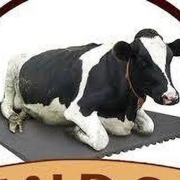 Animal Feeding Waterproof Rubber mat 8×5 feet for Horse, Cow, Buffalo and Bull Cow, Dog, Hamster, Guinea Pig, Miniature Pig Pet Mat-image-79