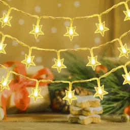 14 LEDs 3 m White Steady Star Rice Lights-17