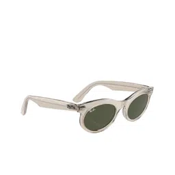 Ray-Ban Unisex Oval Sunglasses with UV Protected Lens 8056262134030-Grey-18