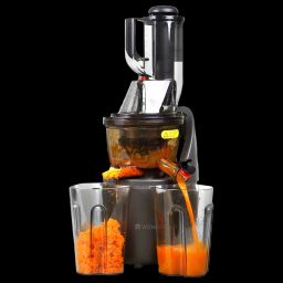 WONDERCHEF Regalia 240 Watt 2 Jars Cold Press Slow Juicer (55 RPM, Powerful and Nutritional, Black)-image-44