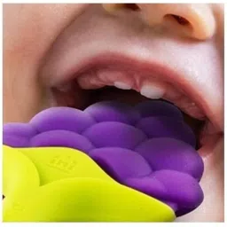 chicbunny SET OF 3 (GRAPES,STRAWBERRY,FRUITFEEDER) Soother image 2