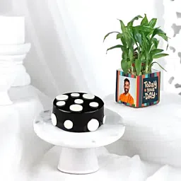 Truffle Bento Cake N Bamboo Plant Combo-image-61