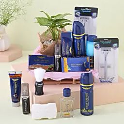 Park Avenue Grooming Kit N Syngonium Plant Combo-image-31