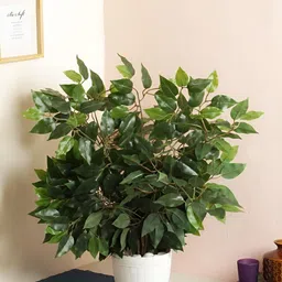 WELL ART GALLERY Green 4Pcs Ficus Artificial Plant-picture-2