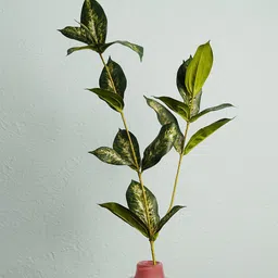 Pure Home and Living Green Solid Dracaena Leaf Artificial Plant-17
