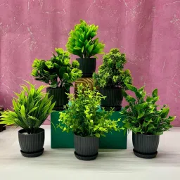 6 Packs Fake Plants Small, Mini Artificial Plants Indoor For Home Farmhouse Wild Artificial Plantwith Pot-27