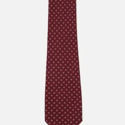 Peter England Men Printed Broad Tie-picture-34