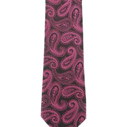 Alvaro Castagnino Men Purple & Black Printed Broad Tie-picture-35