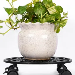 ecofynd Black Round Metal Plant Stand With Wheels-58