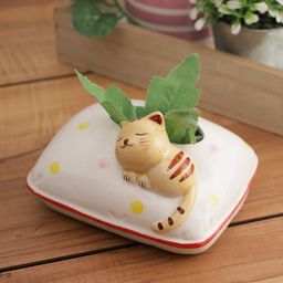 TAYHAA White & Beige Ceramic Planter-51