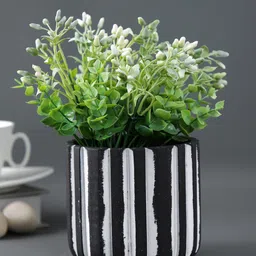 TAYHAA Black & White Linear Design Ceramic Planter-picture-19