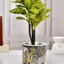 TAYHAA Black & Yellow Abstract Printed Ceramic Planter-9