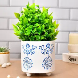 TAYHAA White Blue Printed Ceramic Planter-image-96