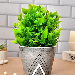 TAYHAA White Grey Printed Ceramic Planter-picture-21
