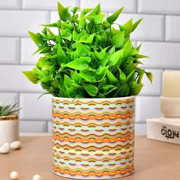 TAYHAA Yellow & Green Abstract Printed Ceramic Planter-5