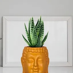 LASAKI Orange Buddha Textured Ceramic Planter-image-97