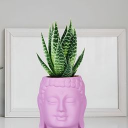 LASAKI Purple Buddha Textured Ceramic Planter-image-97