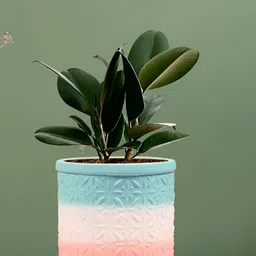 LASAKI Blue Pink Textured Ceramic Planter-1