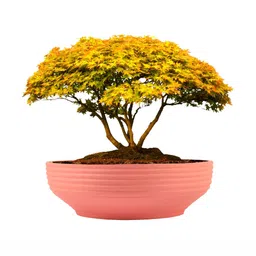 LASAKI Pink Textured Ceramic Planter-23
