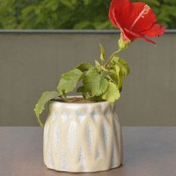 StyleMyWay Beige & Red Ceramic Planter Pot-18