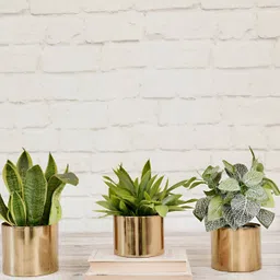 BEHOMA Yellow 3 Pieces Hammered Metal Planters-picture-51