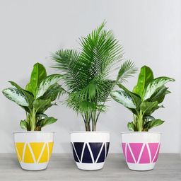 TRUSTBASKET Ciara Set Of 3 Printed Planters-31
