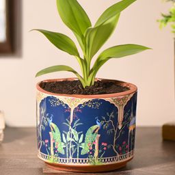 Gathari Blue & Brown Printed Terracotta Table Planter-10
