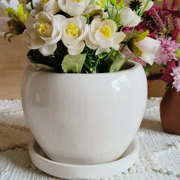NIYARA White Apple Ceramic Planter With Tray-image-26
