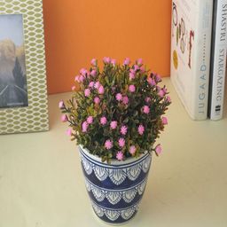The Decor Mart Blue & White Textured Ceramic Planter-51