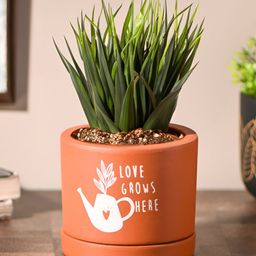 Gathari Brown & White Printed Planter WithTray-26