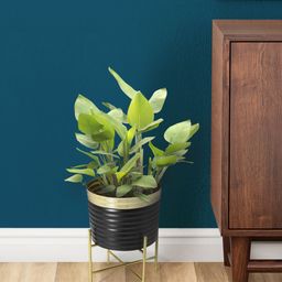 Living scapes by Pantaloons Black & Gold Textured Cylindrical Planter-41
