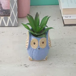 The Decor Mart Blue & Beige Small Ceramic Owl Planter-20